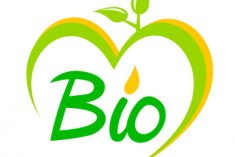 Des marques de produits de beauté bio made in France