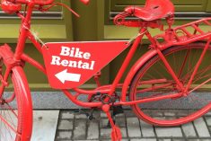 Quels tarifs pour la location de vélo sur l’Ile d’Oléron ?